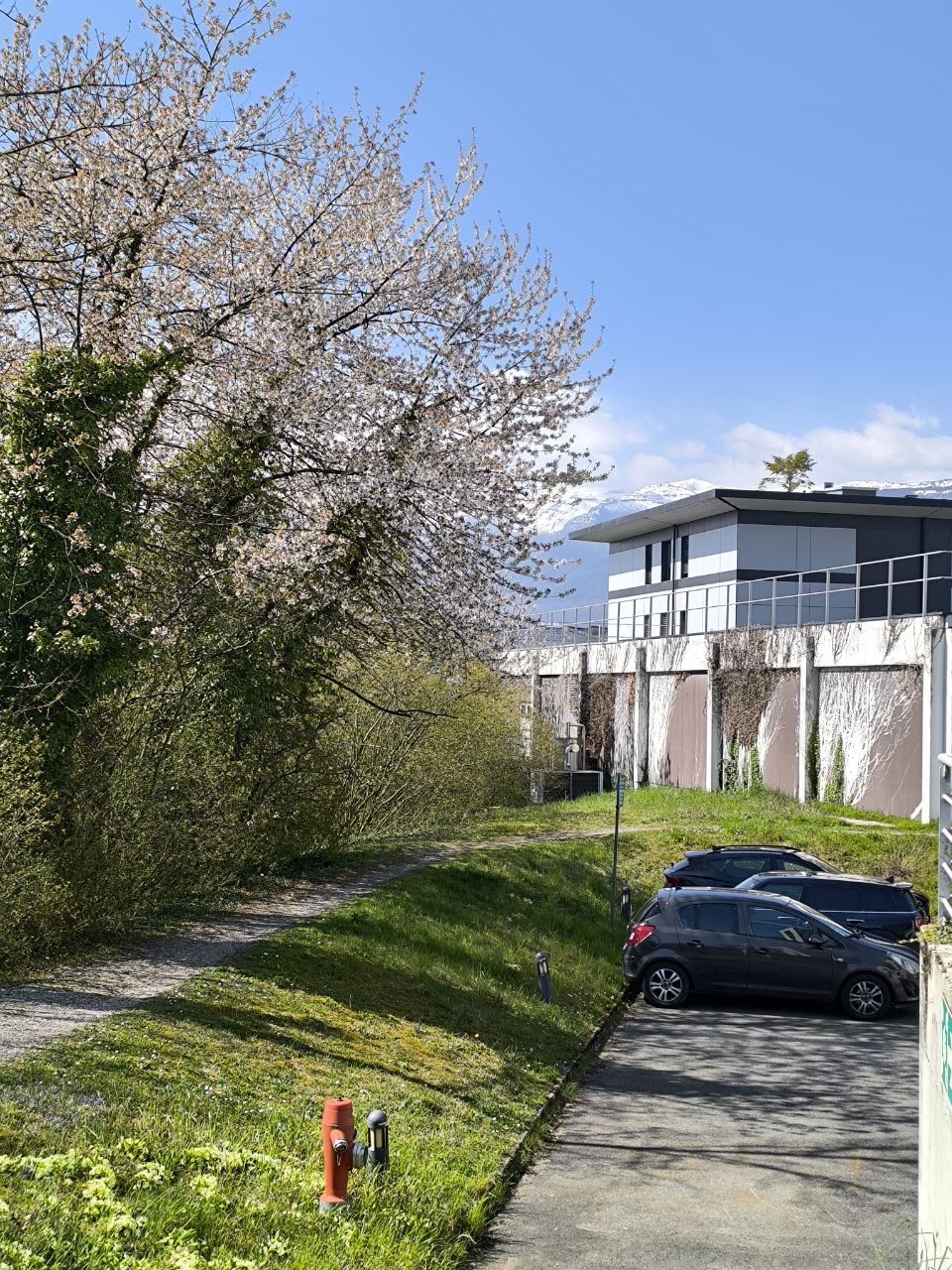 Весеннее фото ЦЕРН