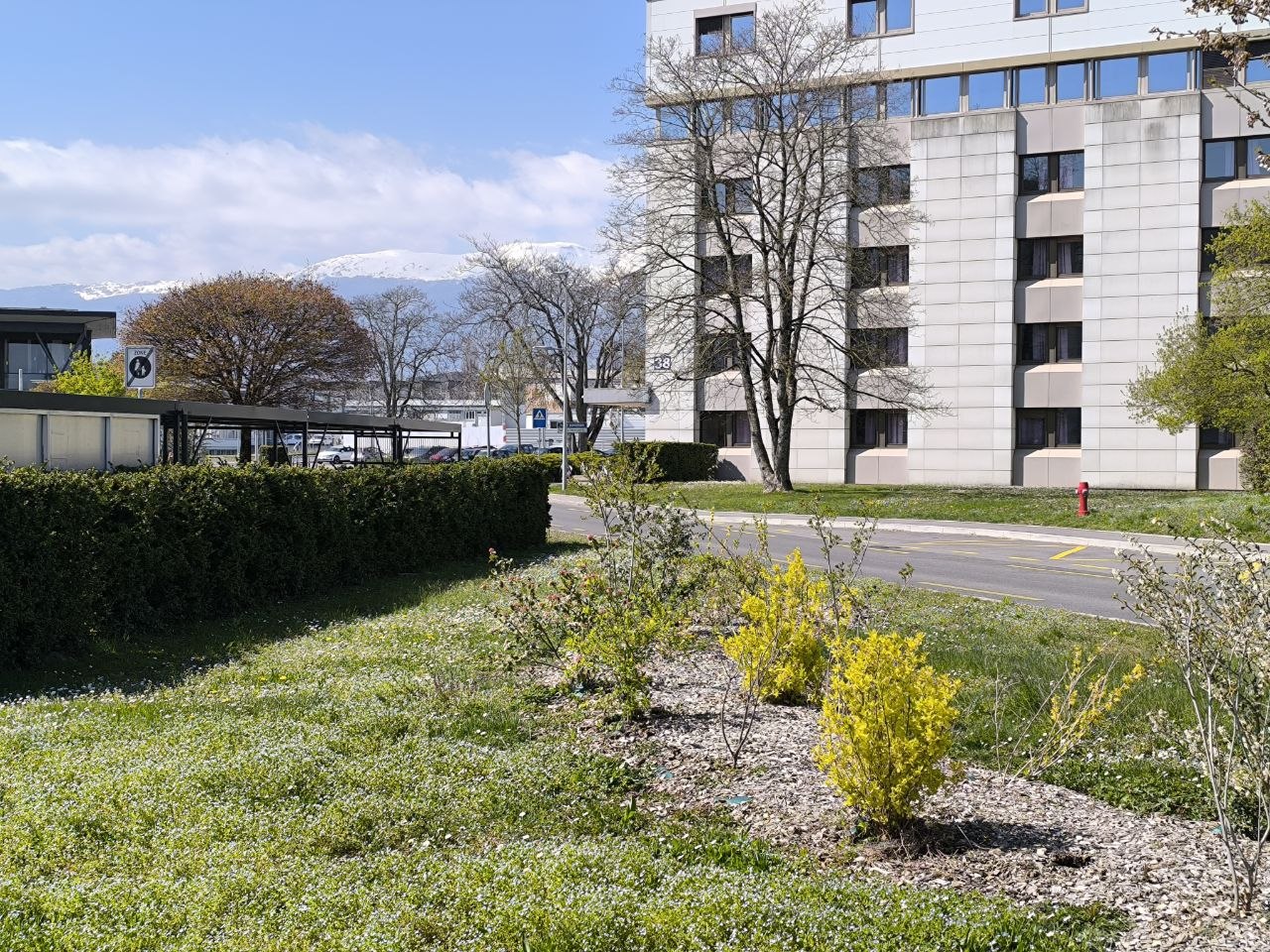 Весеннее фото ЦЕРН